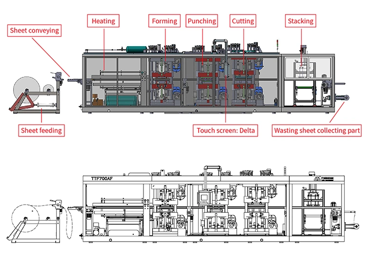 Fully Automatic Plastic Thermoforming Machine for Production Pet Fruit Packing Punnet Meat Box